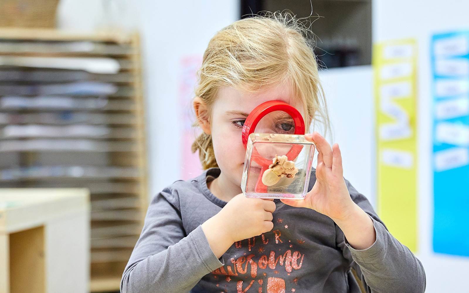 Great Beginnings Gilles Plains