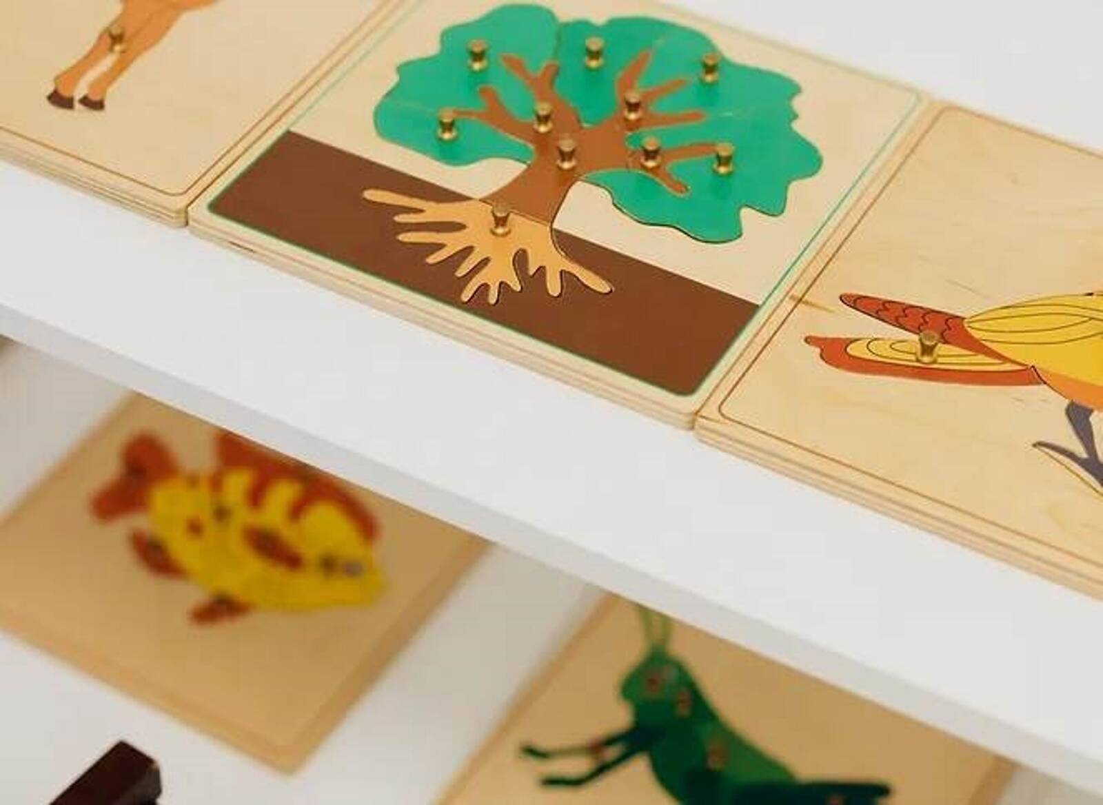 Laurel Tree House Glebe