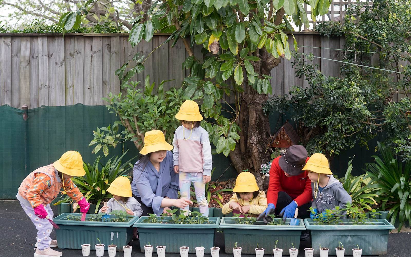 Morning Buds Early Learning Centre