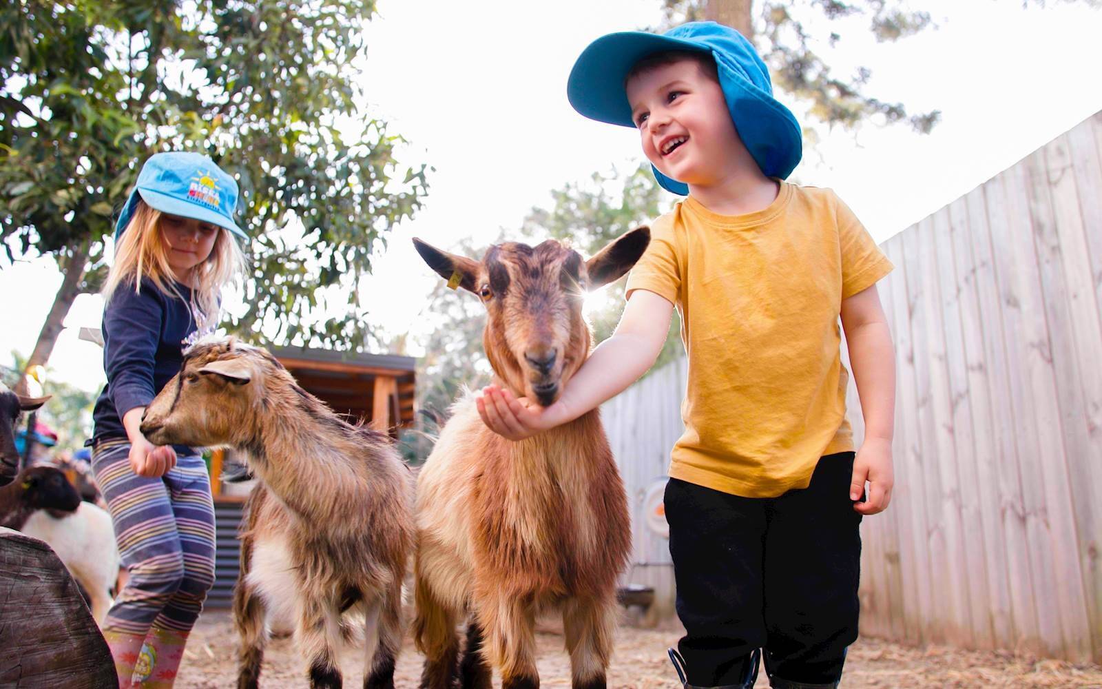 Rise & Shine Kindergarten - Haberfield
