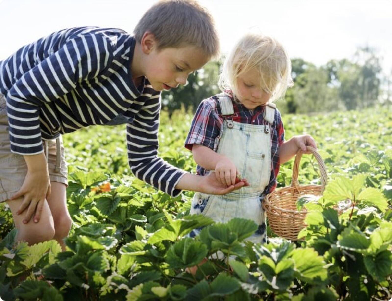 Footsteps Early Learning Centre - Woolooware
