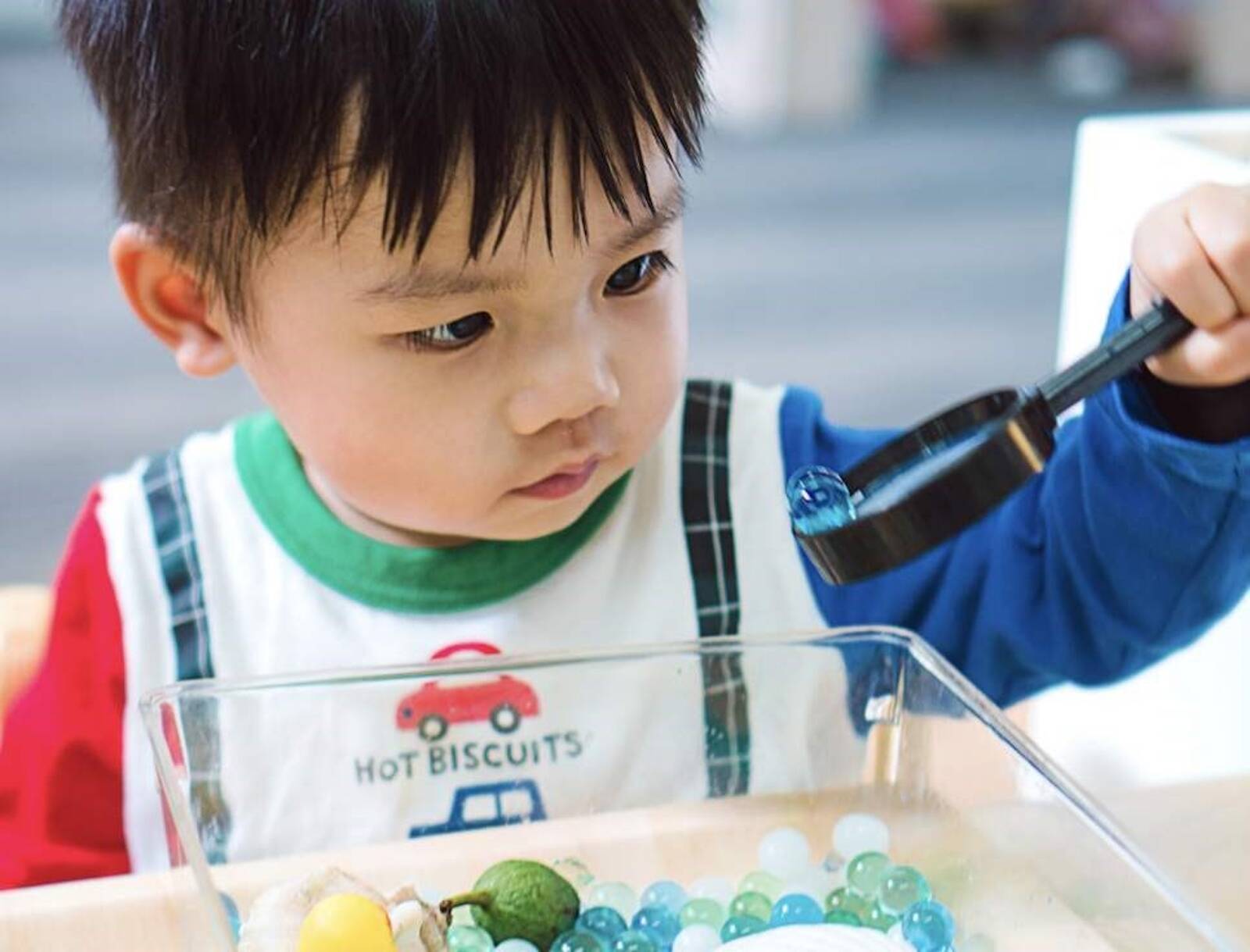 Reddam House Early Learning School