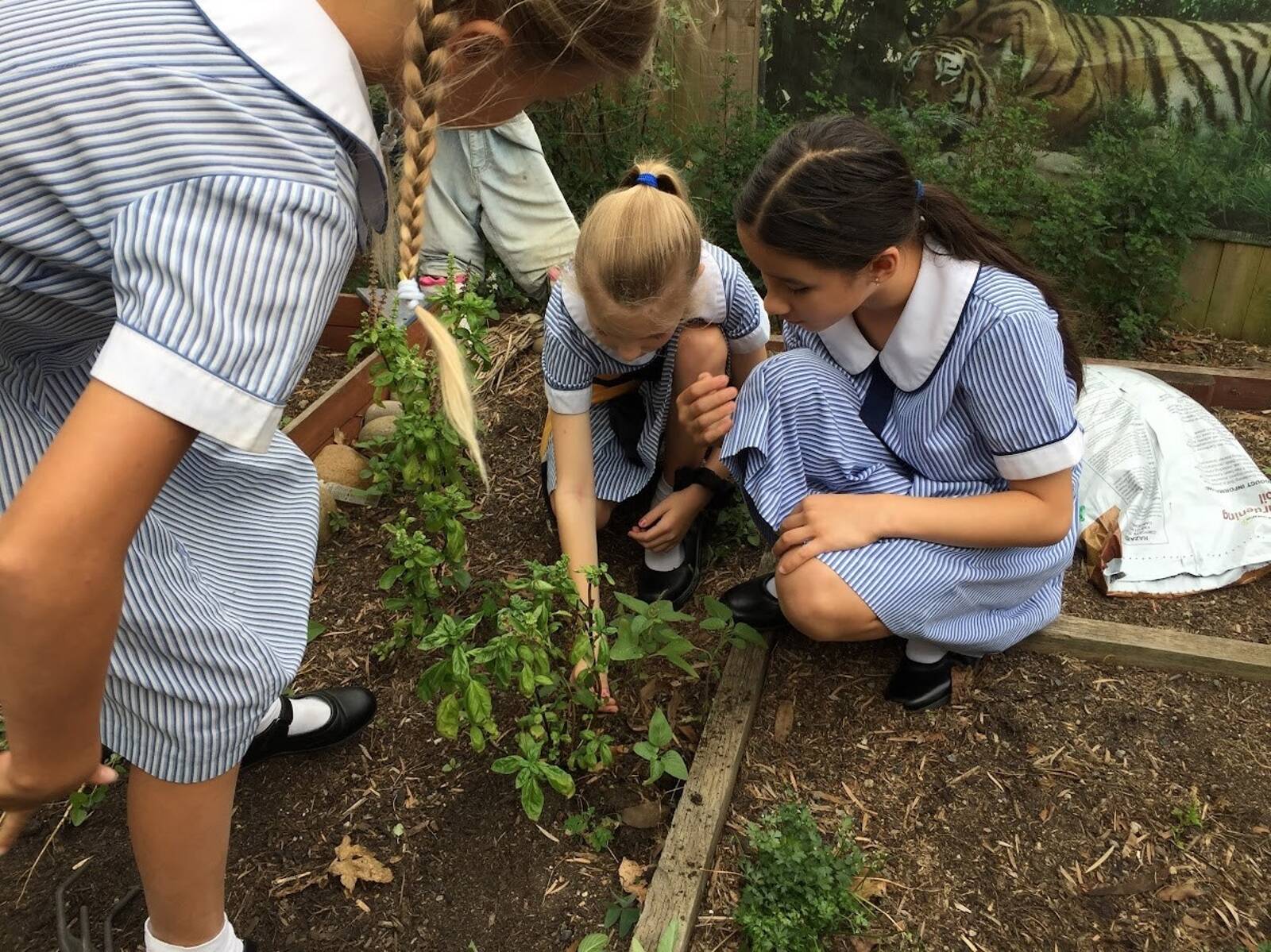 Attunga Cottage Before and After School Care