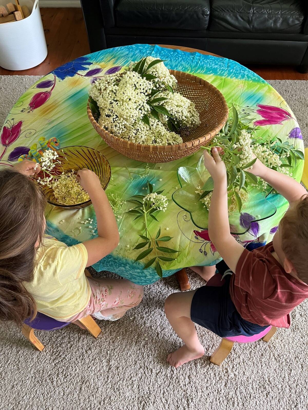 Wildoaks for Small Folks Family Day Care