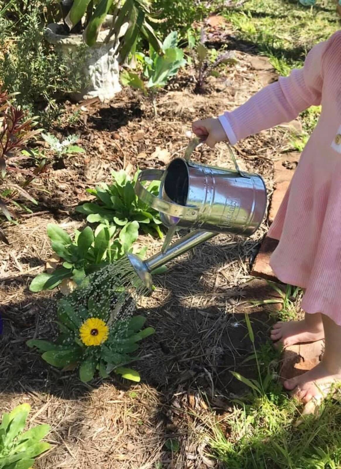 Wildoaks for Small Folks Family Day Care