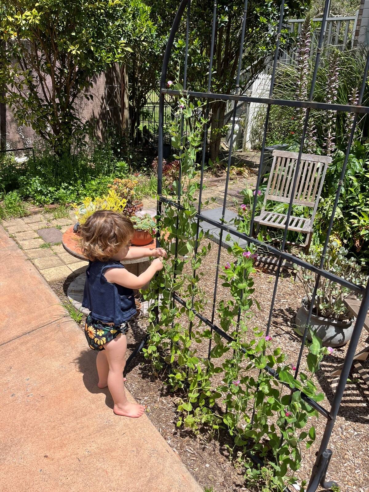 Wildoaks for Small Folks Family Day Care