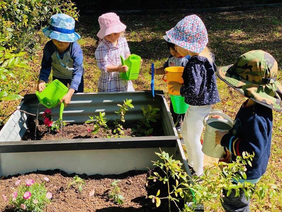 Treewood Early Learning Centre