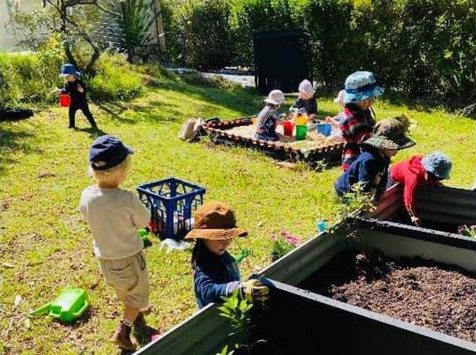 Treewood Early Learning Centre