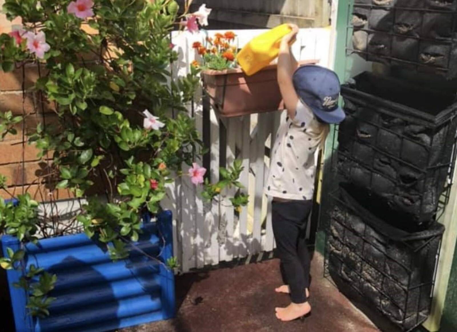 Starlight Early Learning Centre - Vaucluse