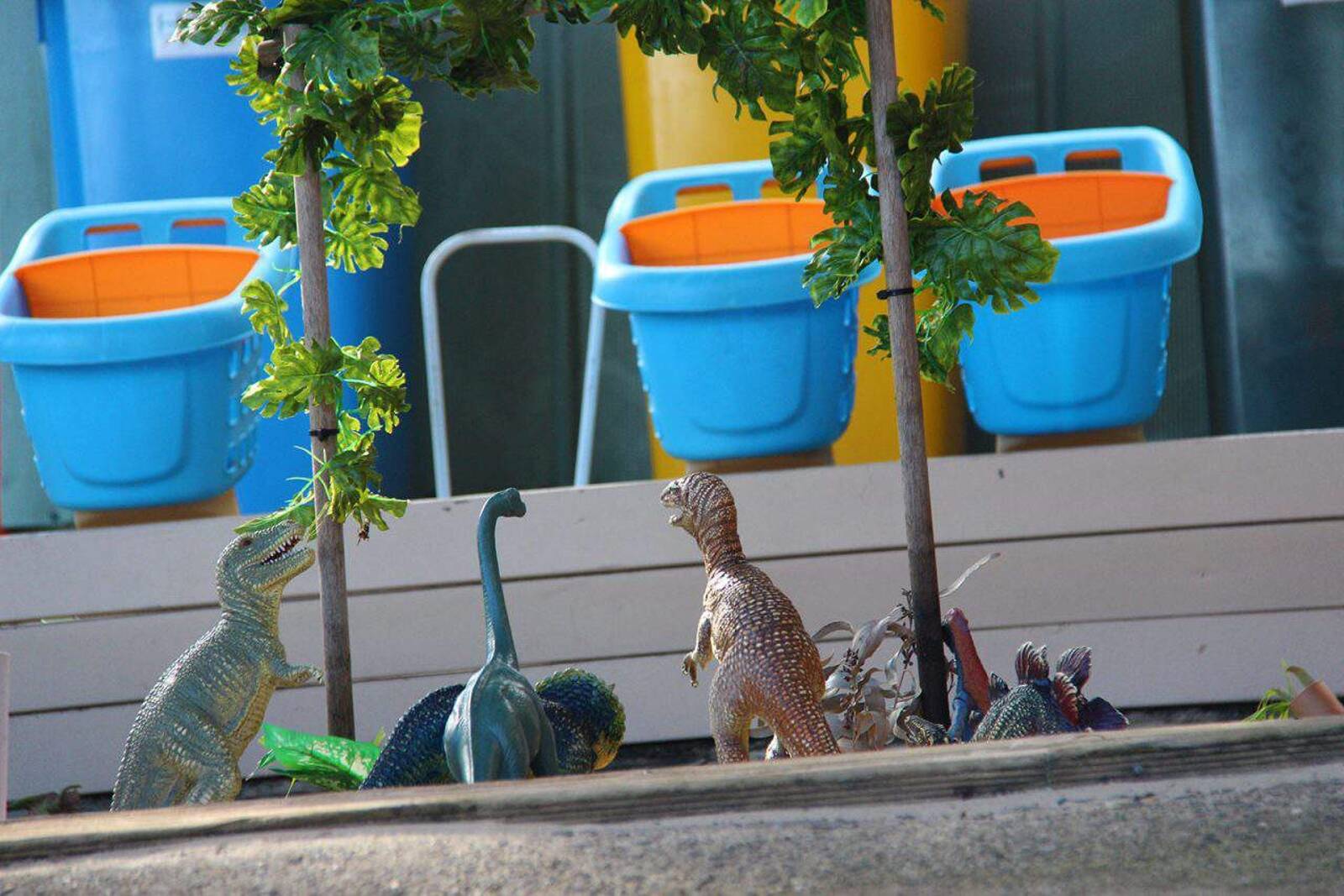 Roseville Preschool Kindergarten