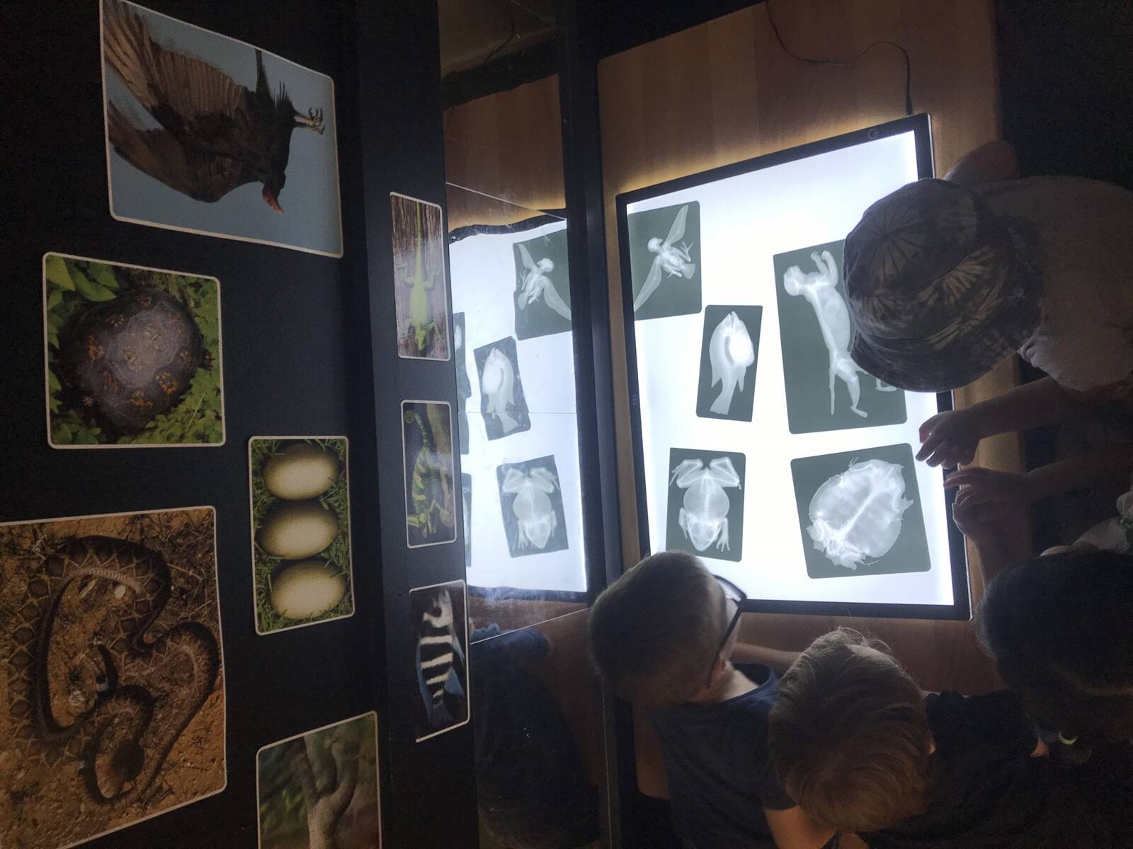 Mother Duck ChildCare and Kindergarten Centre - Carindale