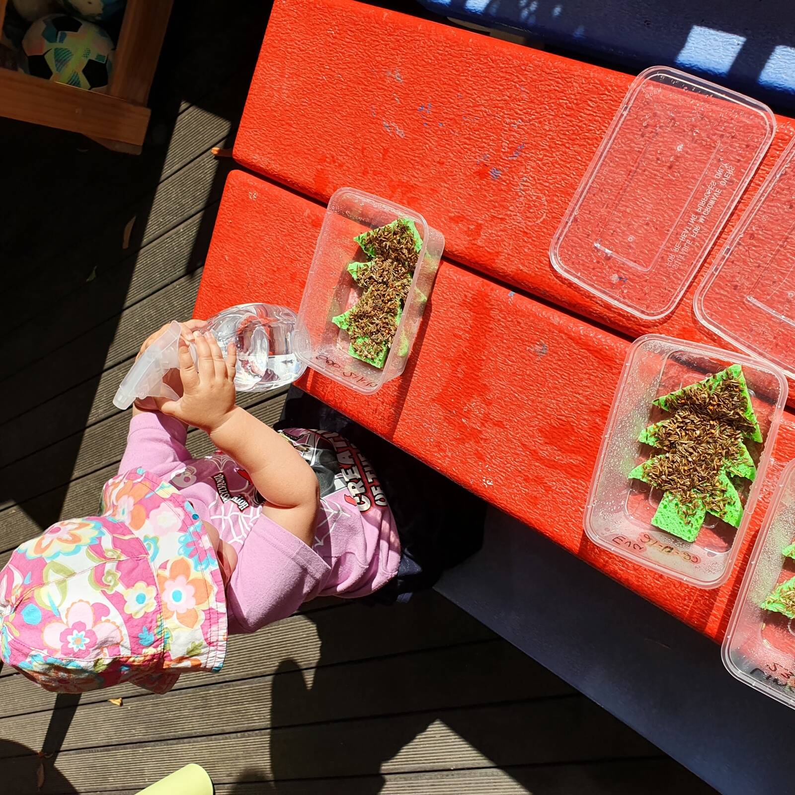 Little Tacka's Family Day Care (Diploma Qualified)