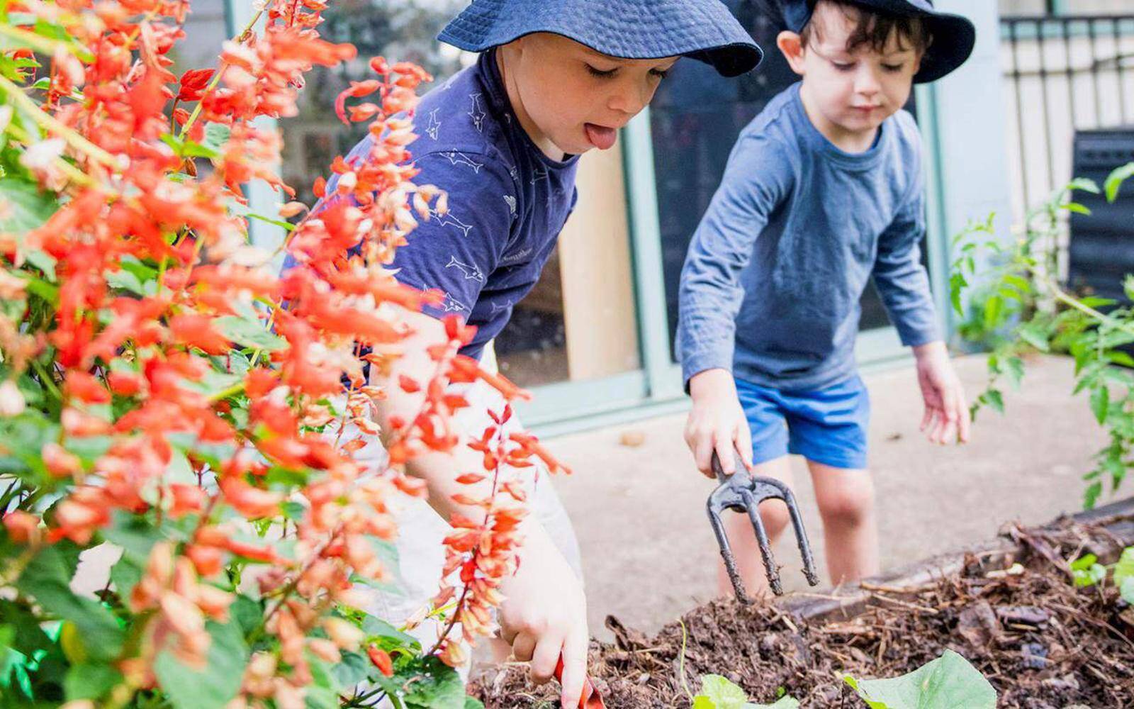 Busy Bees at Chinchilla