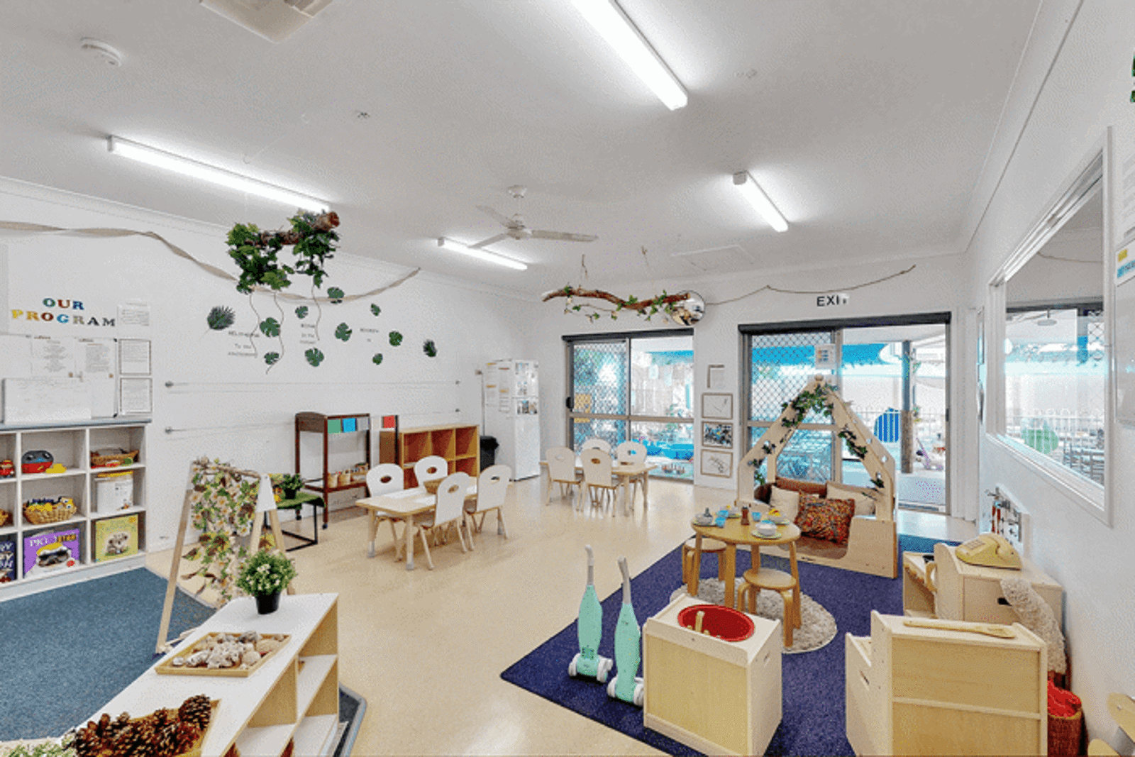 Busy Bees at Moreton Bay