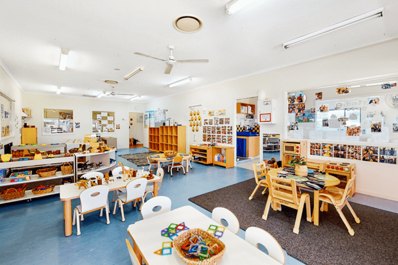 Busy Bees at Warner 2