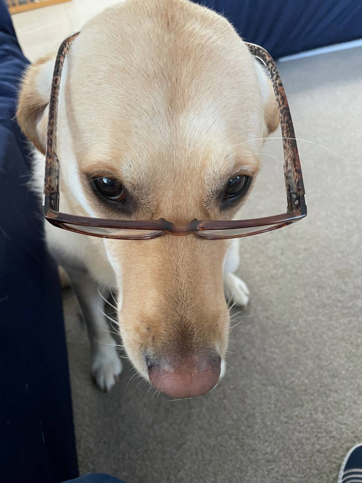 Karen McDonald Family Day Care