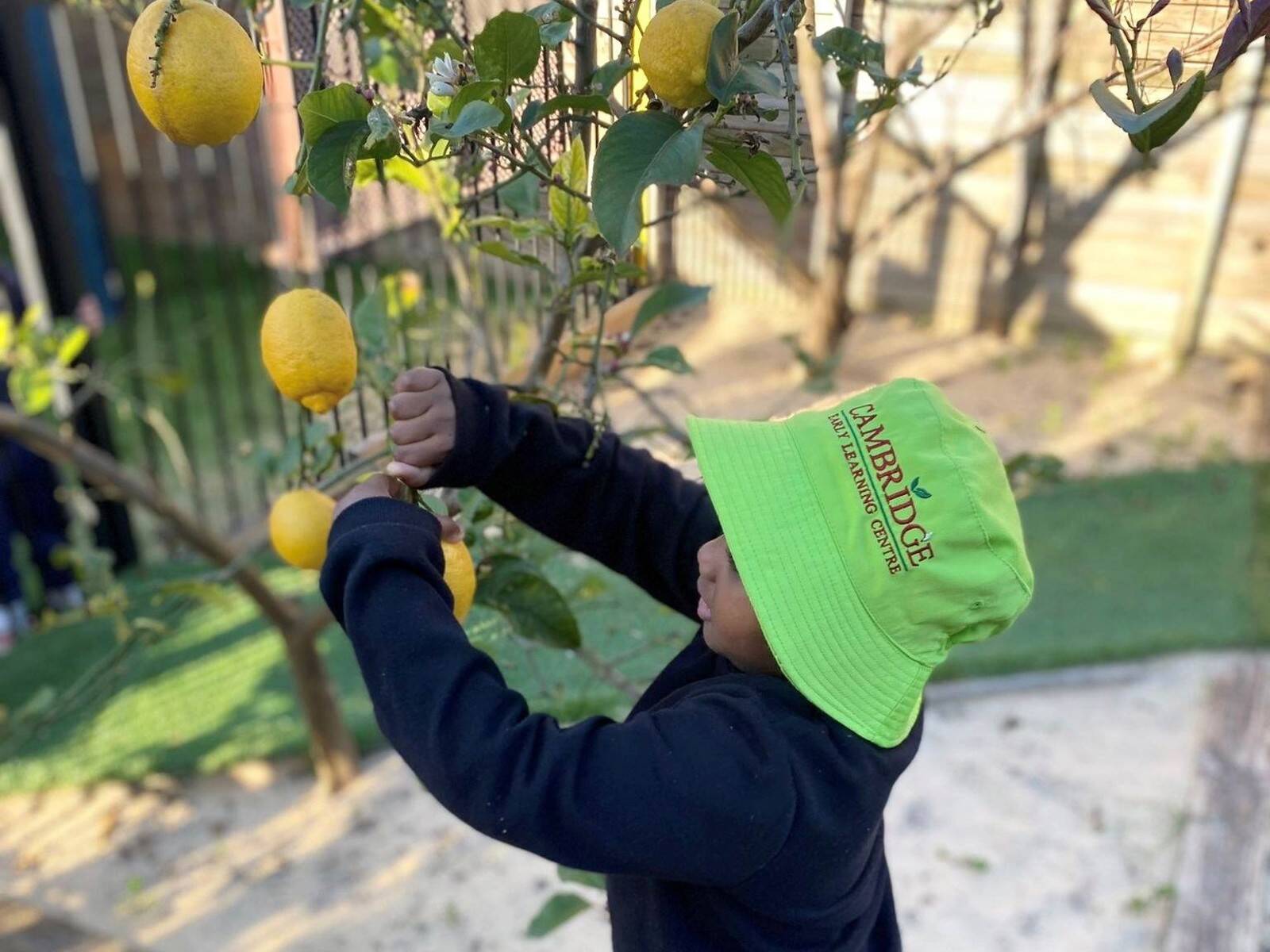 Cambridge Early Learning Centre