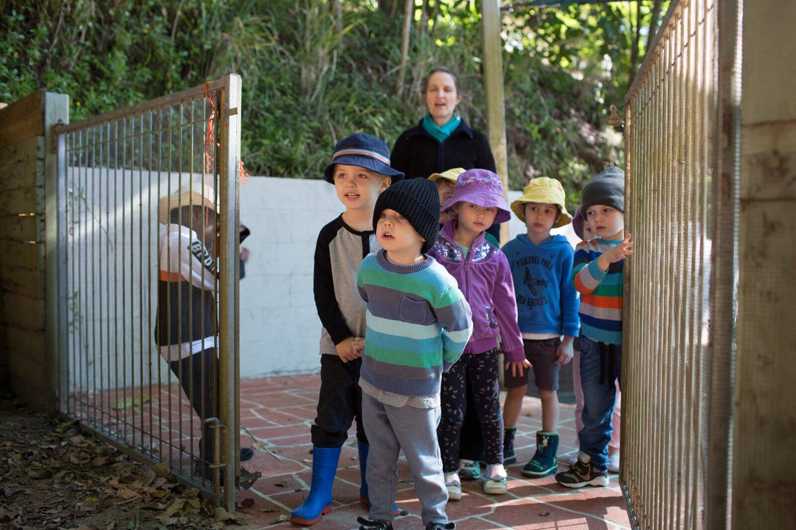 Goodstart Early Learning Nambour - City View Terrace