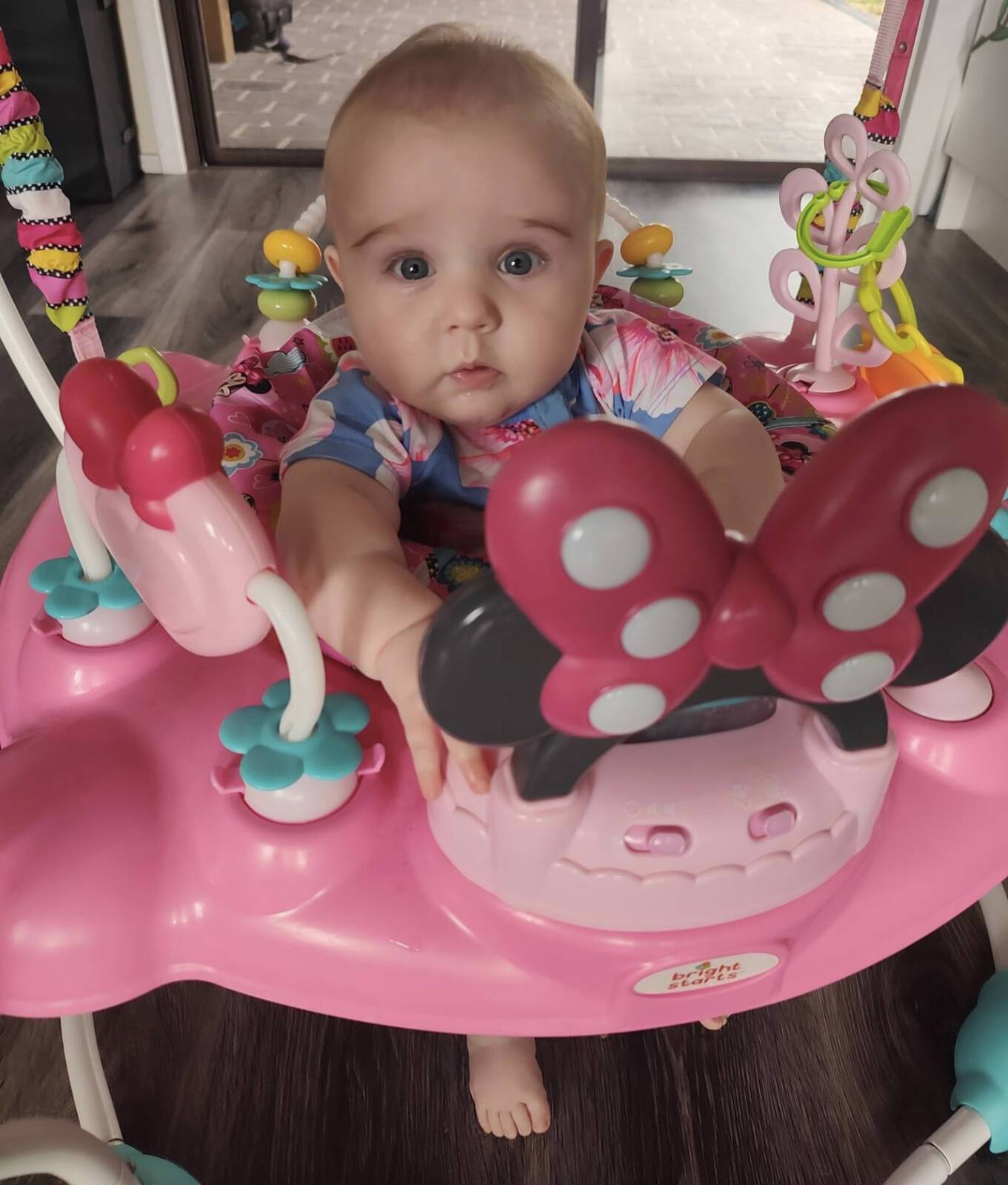 Dino-mite  Family Daycare