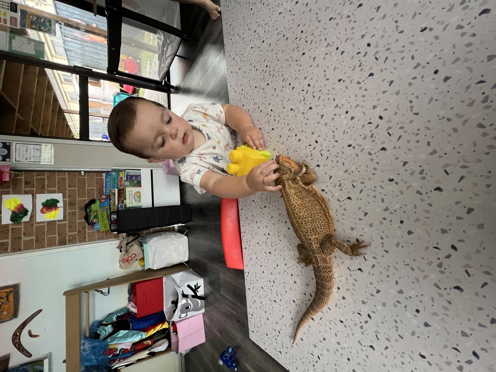 Dino-mite  Family Daycare