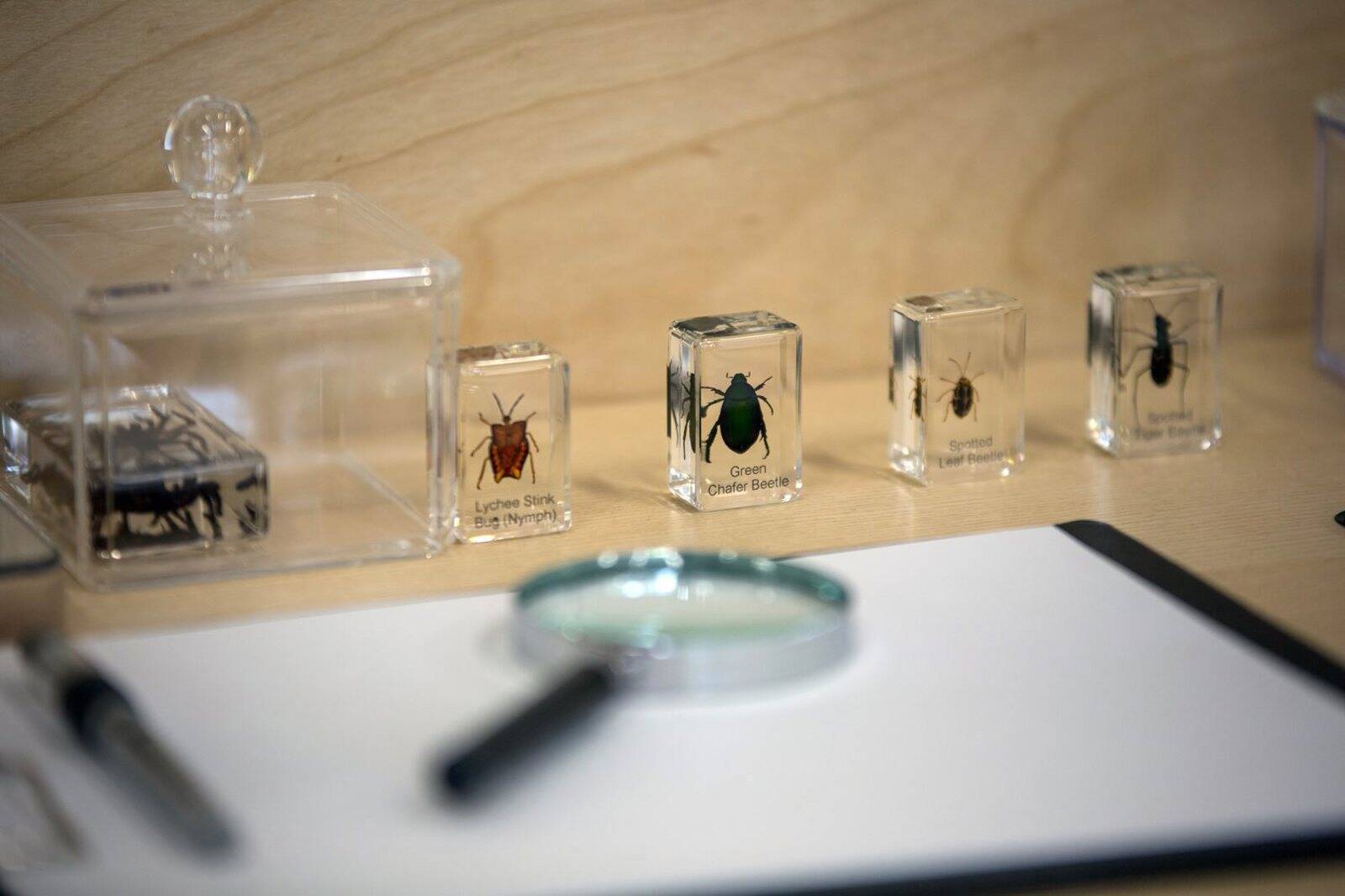 Goodstart Early Learning ANU