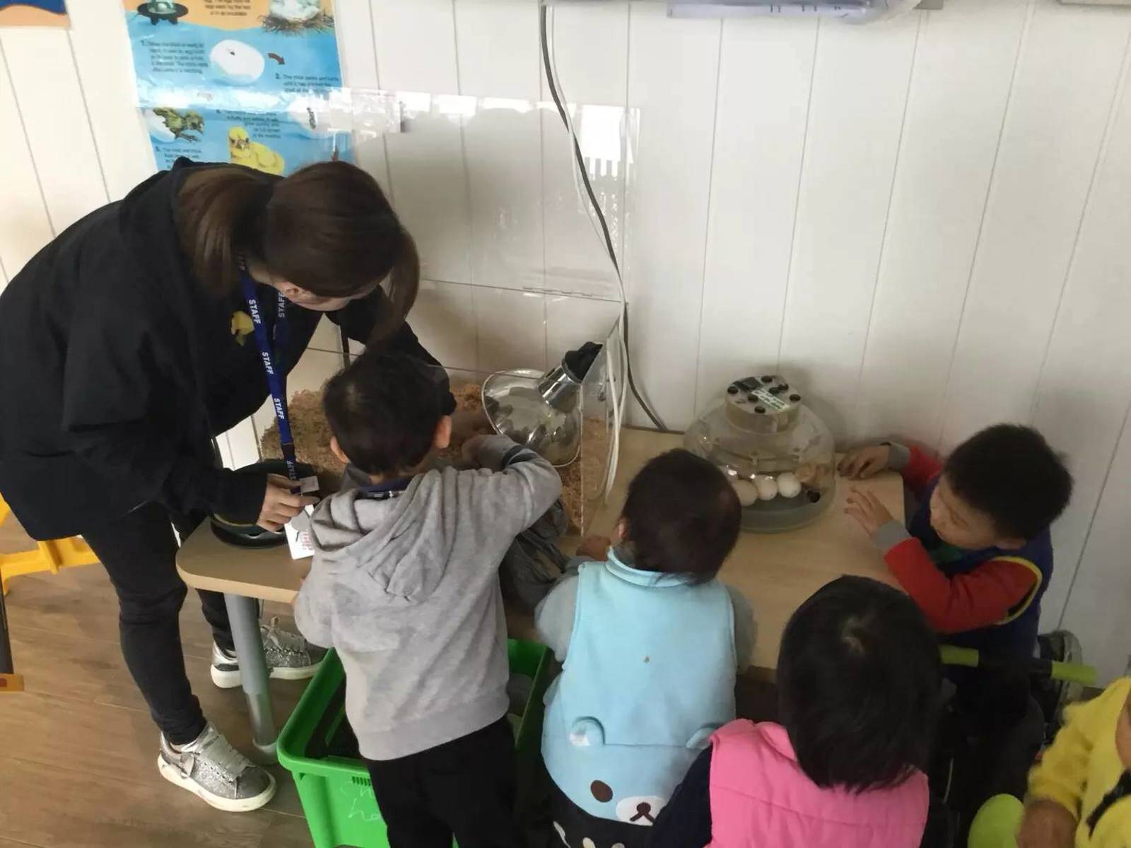 Little Bees Childcare Burwood