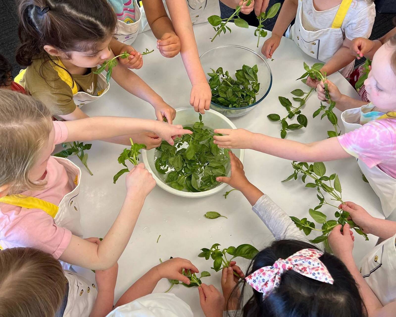 Little Zak's Academy Mount Colah