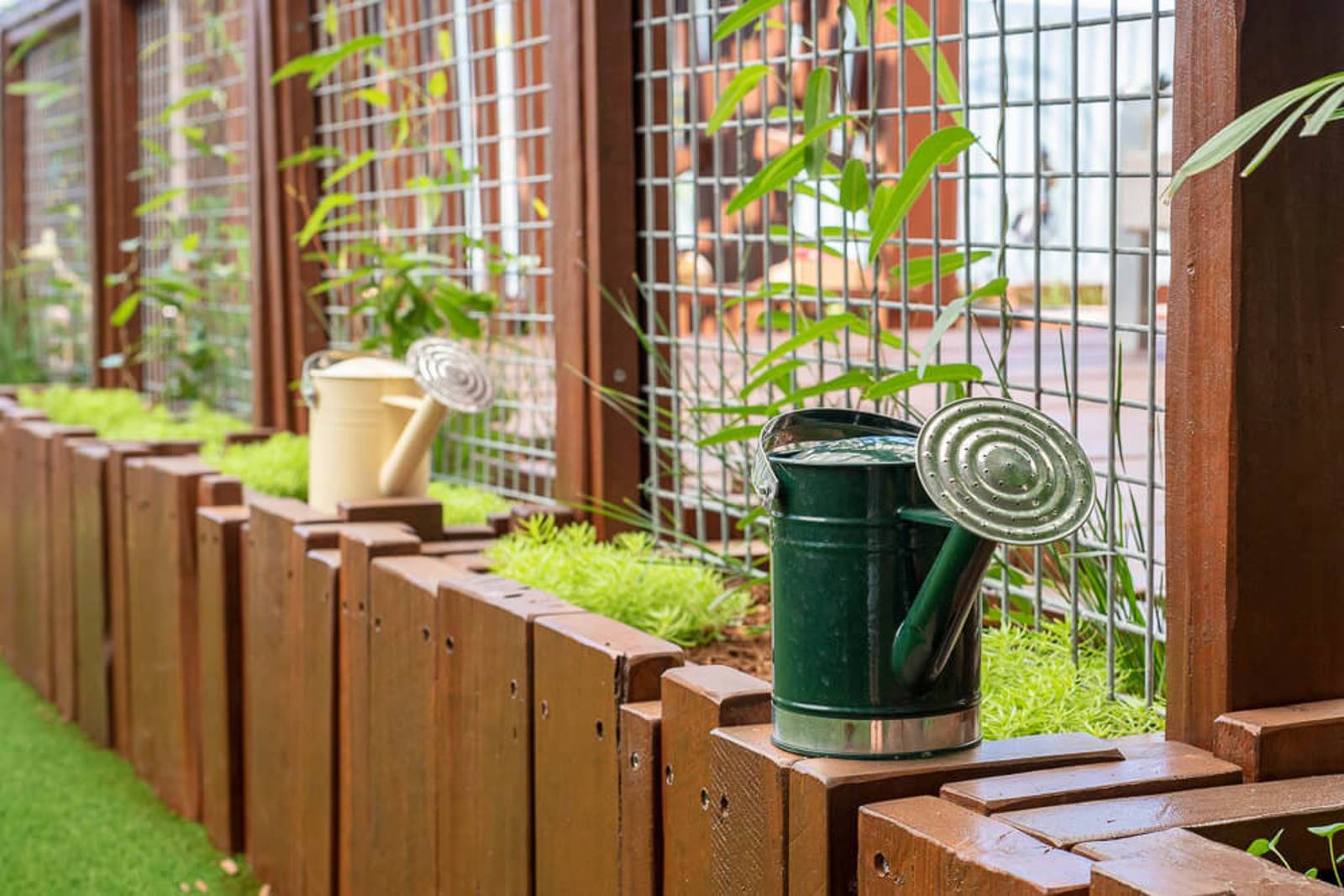 Nido Early School Belmont