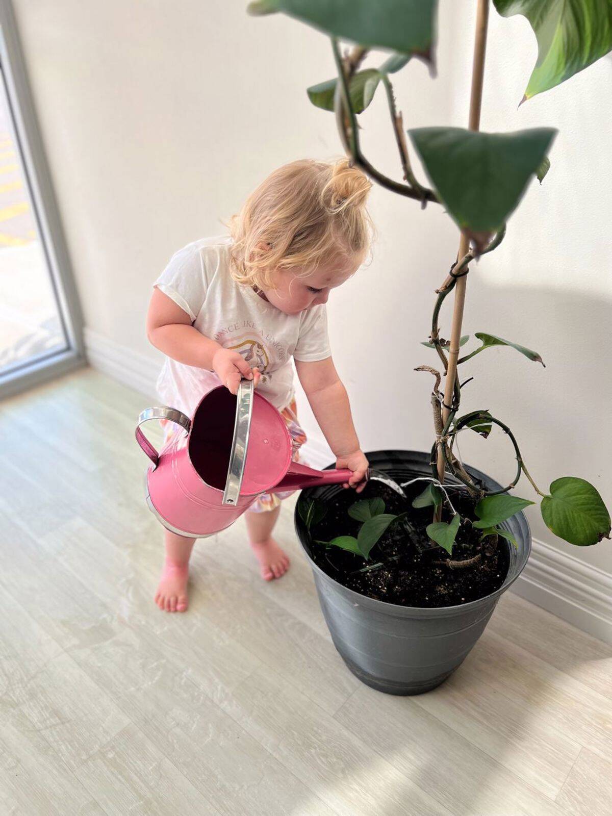 Matisse Early Learning