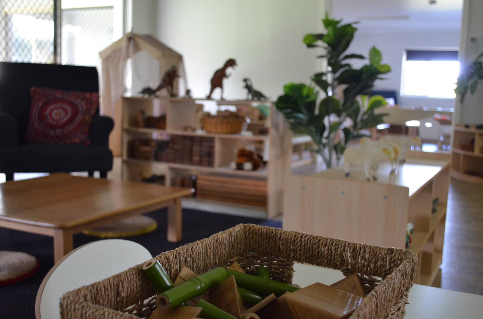 Leaps & Bounds Parklands