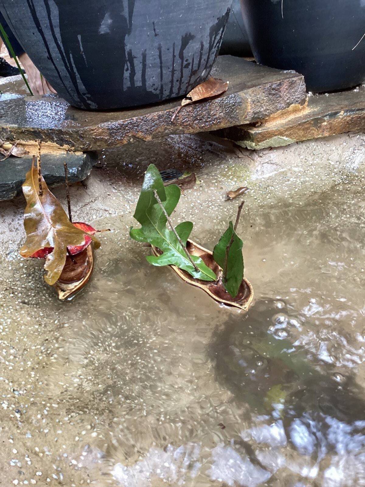 Alstonville Community Preschool