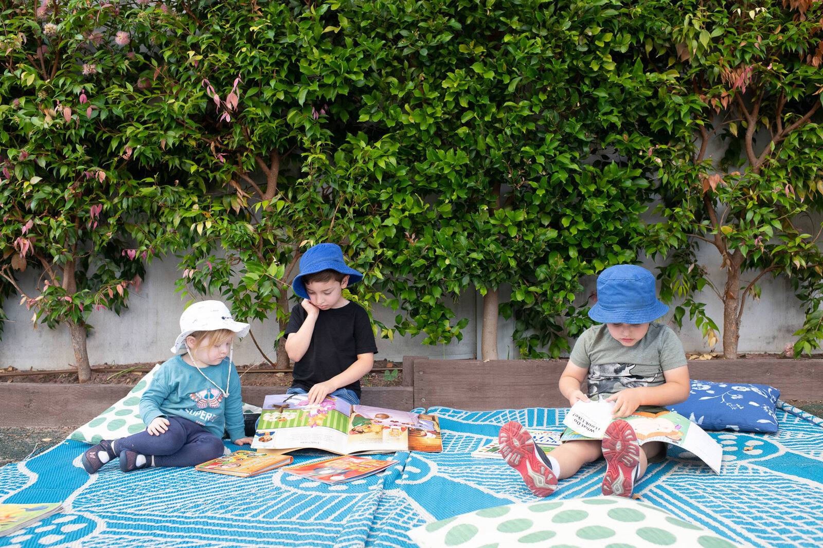 Daystars Bardwell Valley