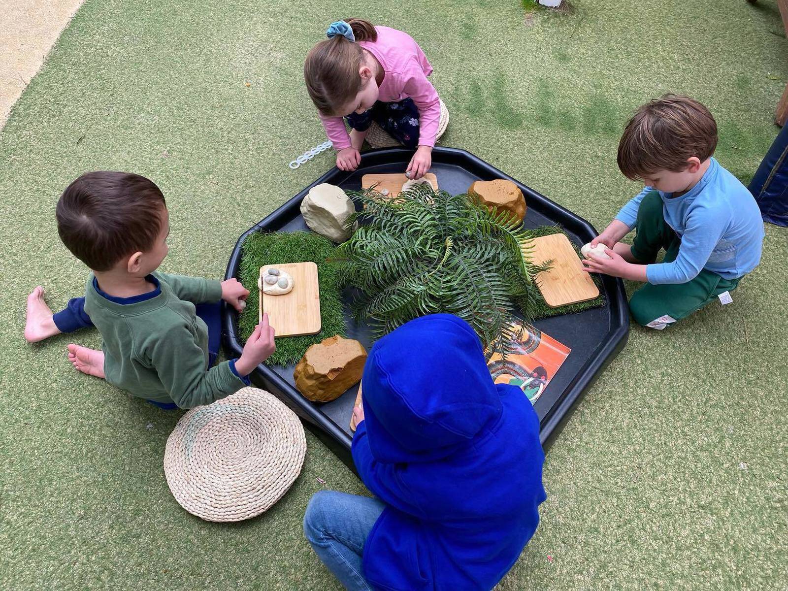 Blossoms Childcare & Early Learning Centre - Lane Cove