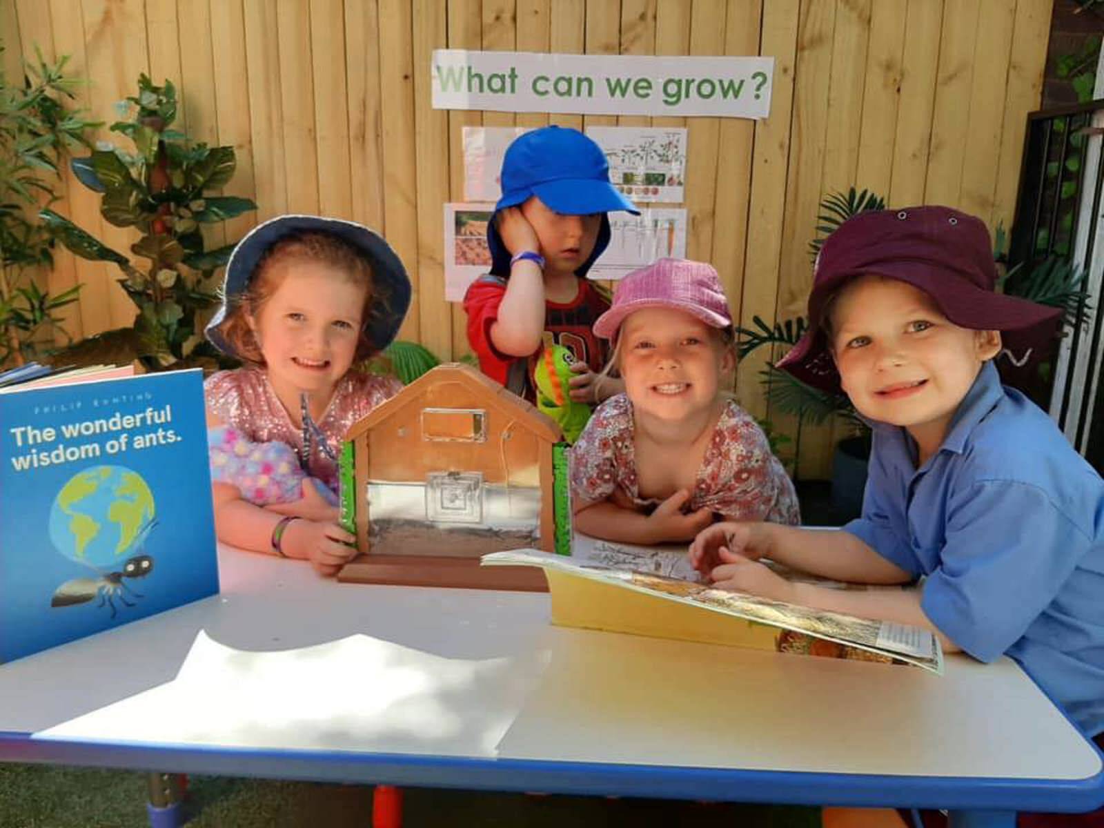 Tree of Life Early Learning School - Willoughby