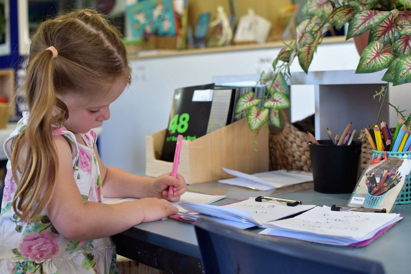 Goodstart Early Learning Dapto