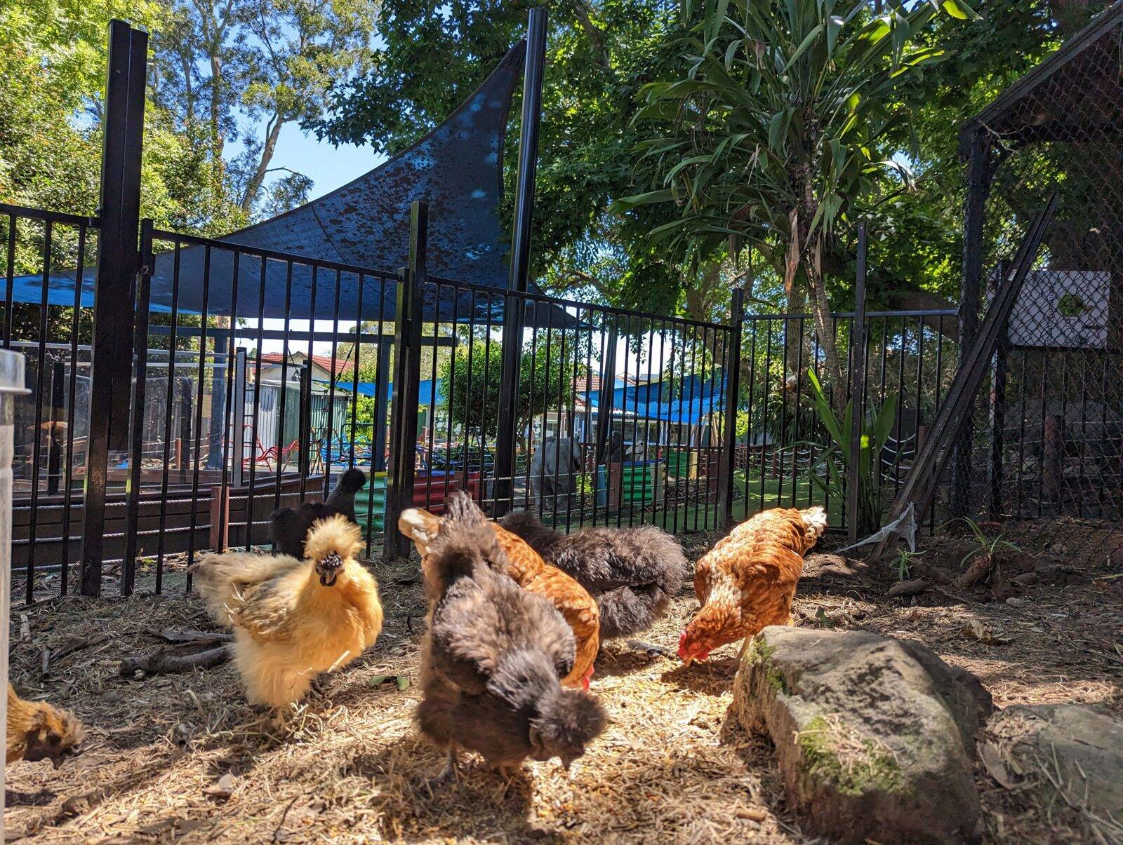 Twinkle Tots Cottage - Waitara