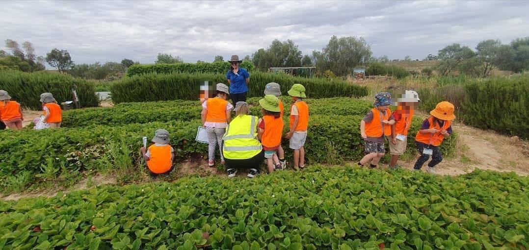 Goodstart Early Learning Mildura - Matthew Flinders Drive