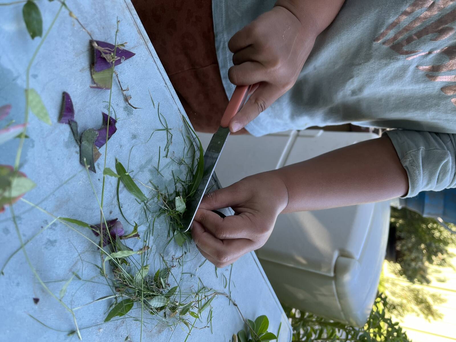 Tania's Family Day Care