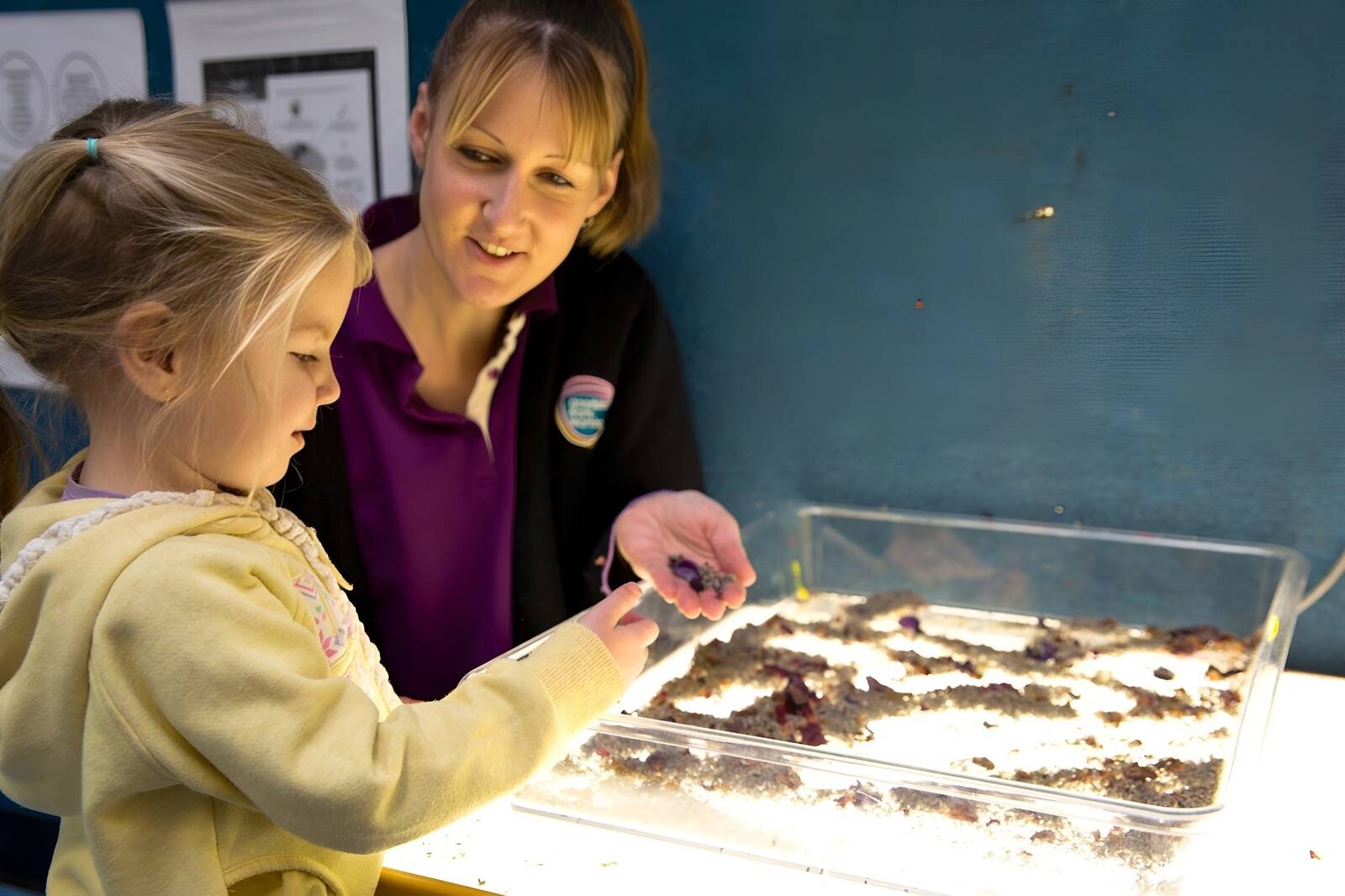 Goodstart Early Learning Warwick - Wood Street