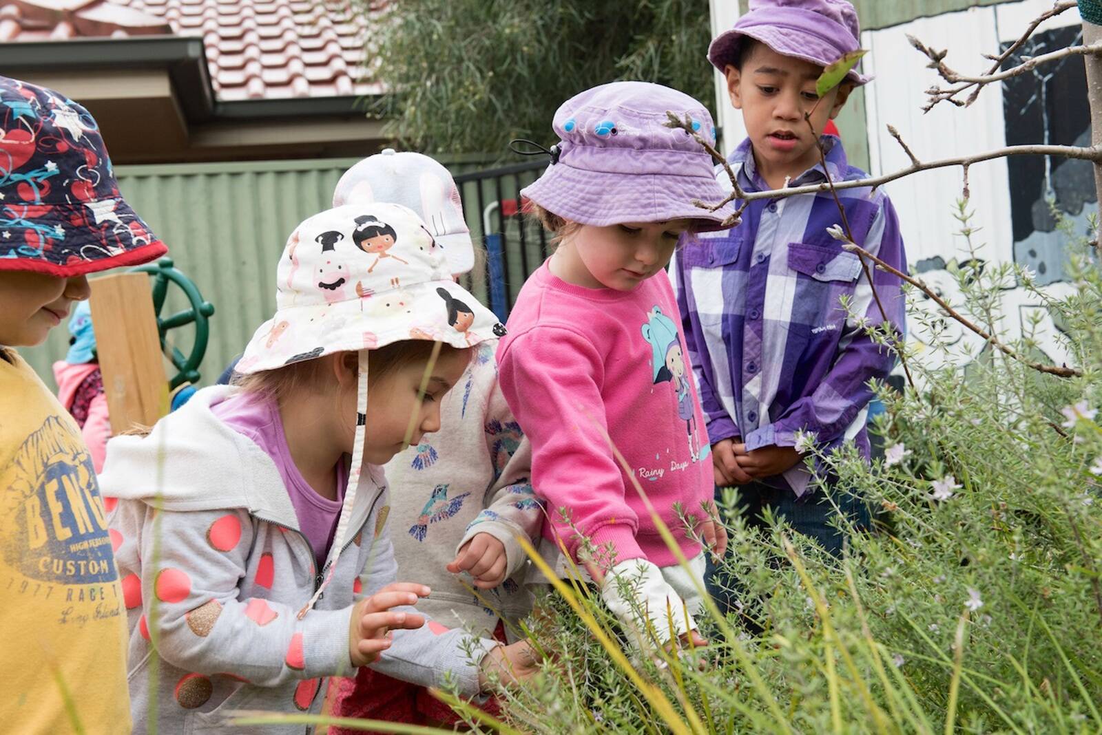 Goodstart Early Learning Griffith - Coolah Street