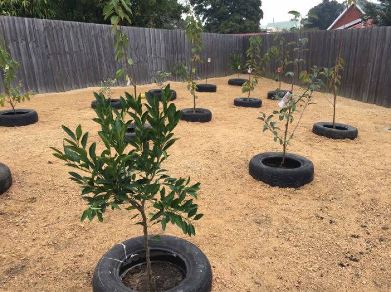 Goodstart Early Learning Prospect Vale