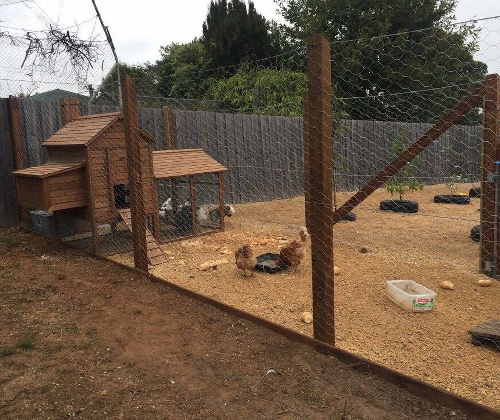 Goodstart Early Learning Prospect Vale