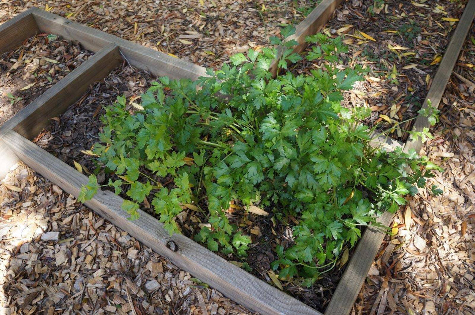 Fun2Learn Early Learning Centre