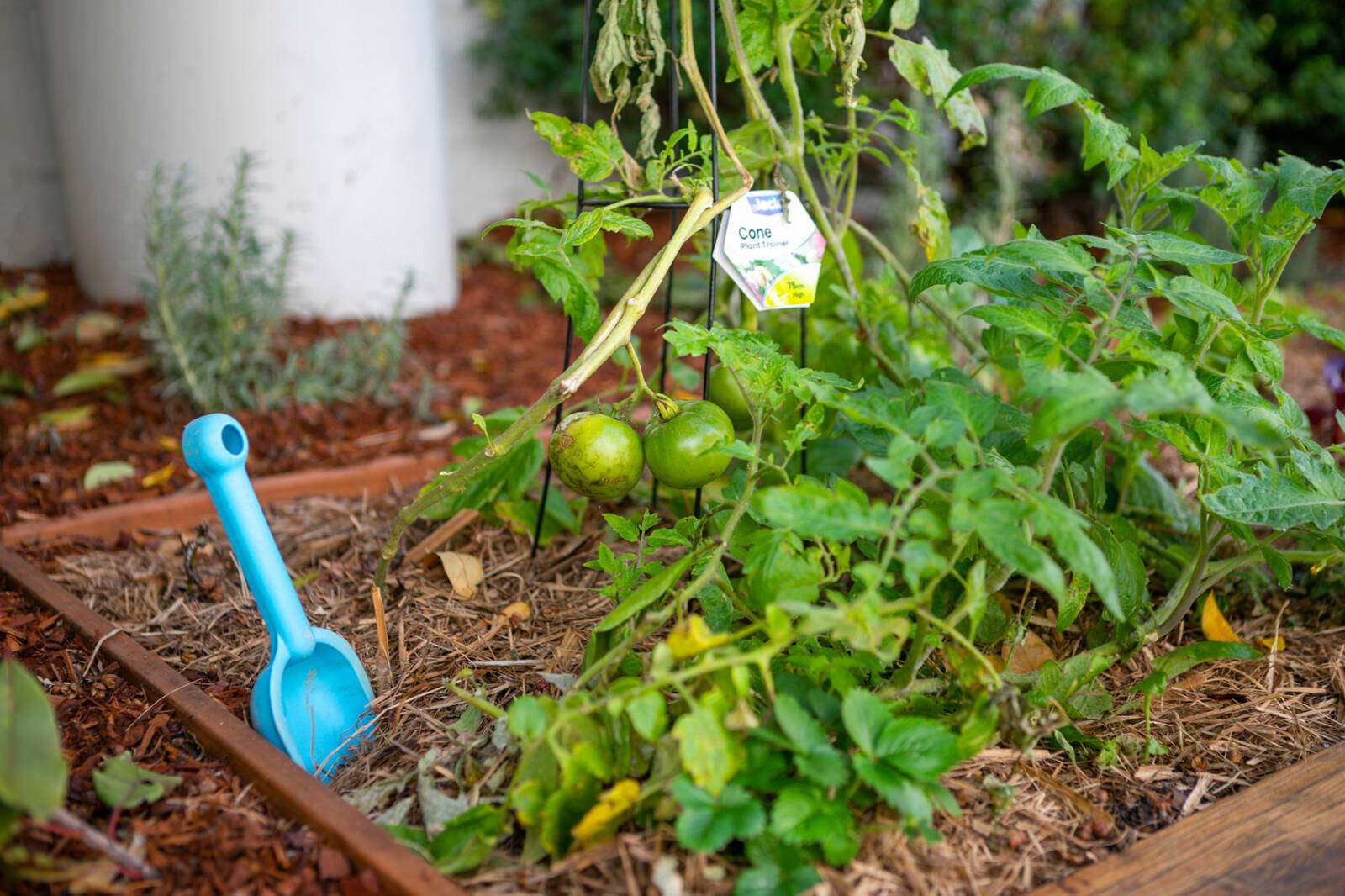 Whiz Kidz Early Learning and Pre School Castle Hill