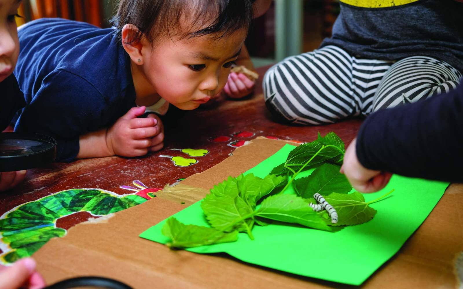 The Infants' Home Child & Family Services - Murray House