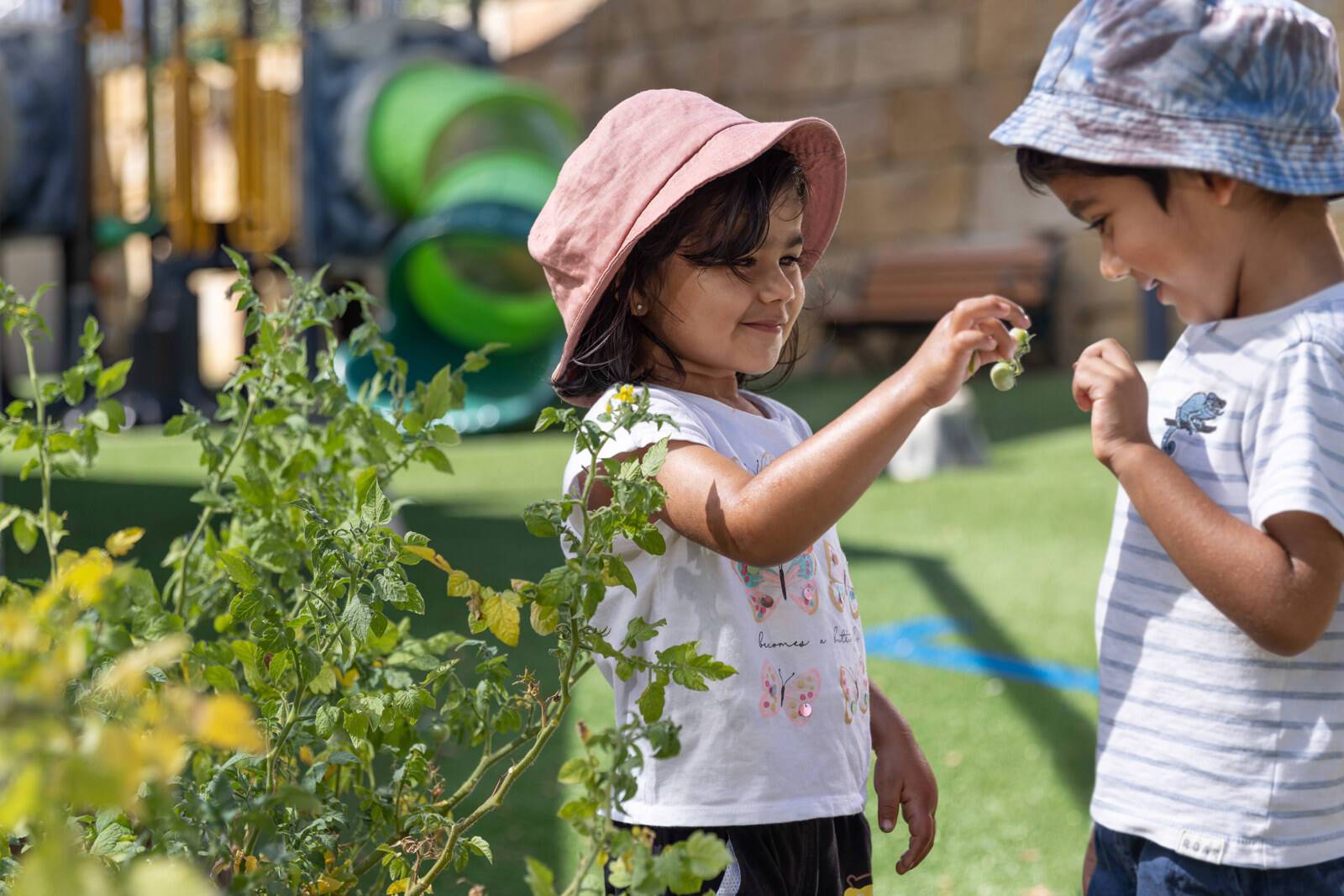 Tiny Tiger Early Learning Centre