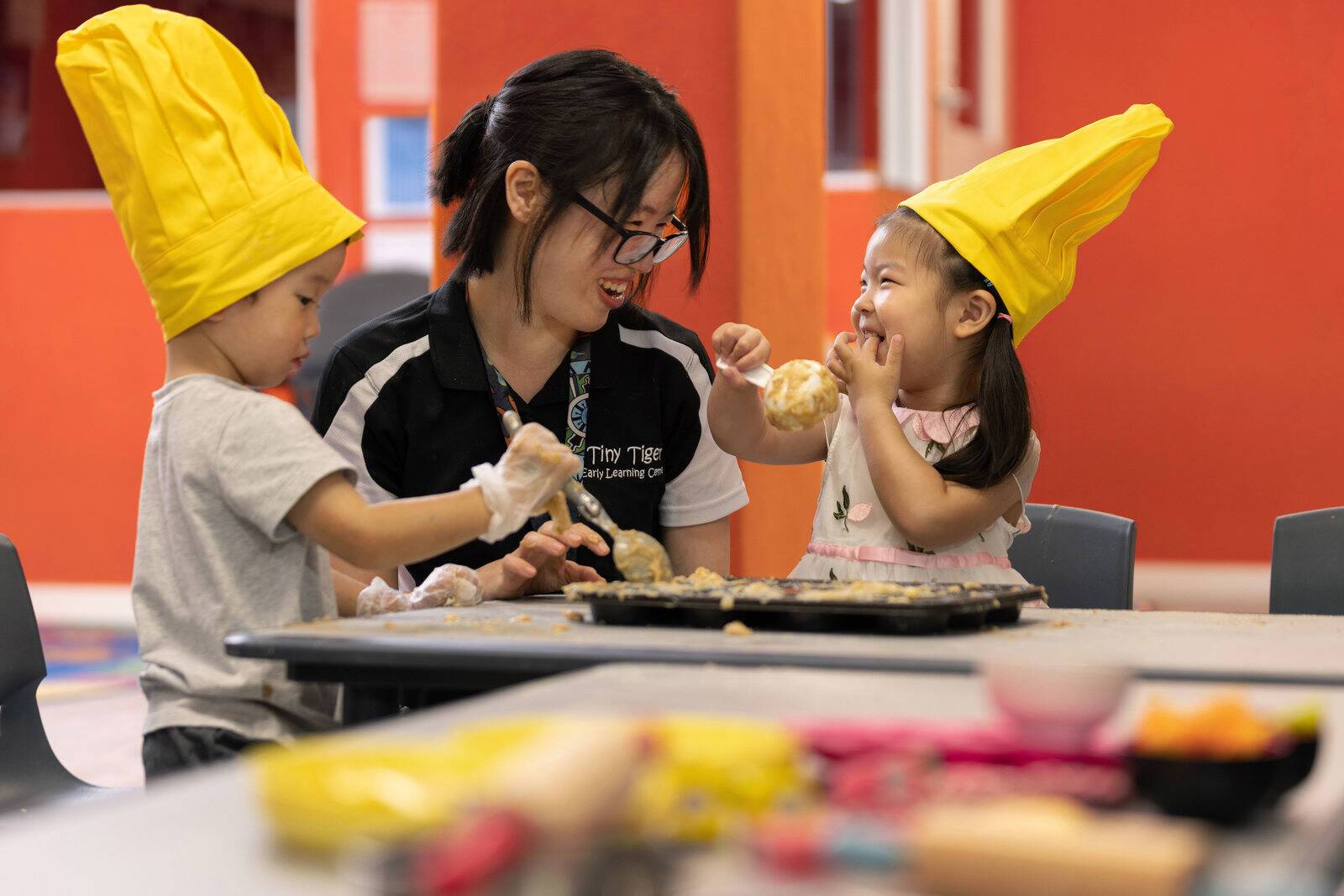 Tiny Tiger Early Learning Centre