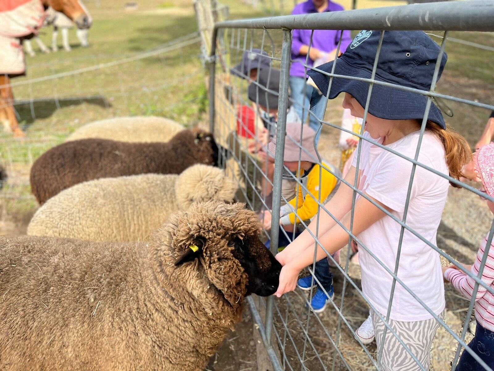 Rosie's Early Learning - Mount Samson