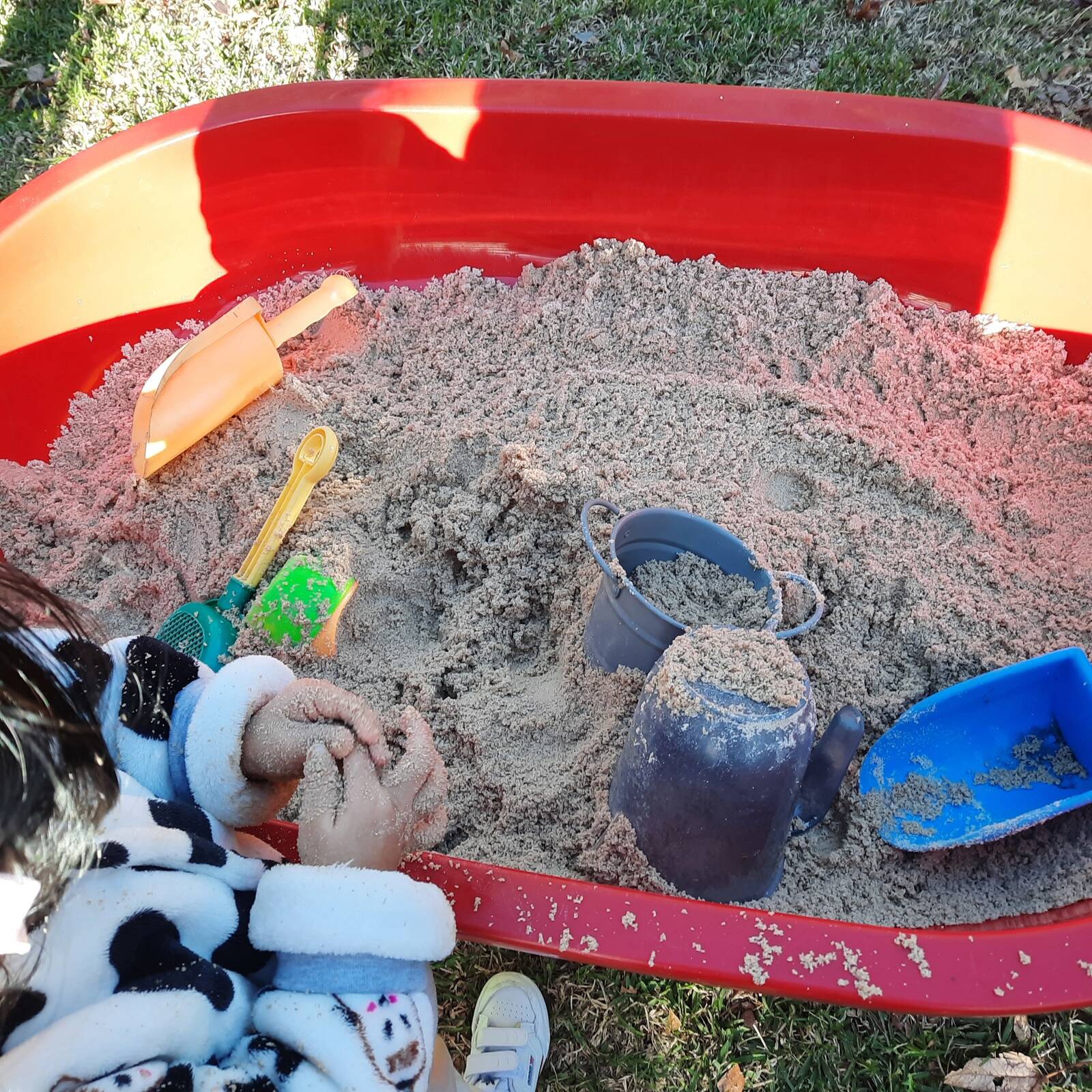 Little Squirrels Family Day Care