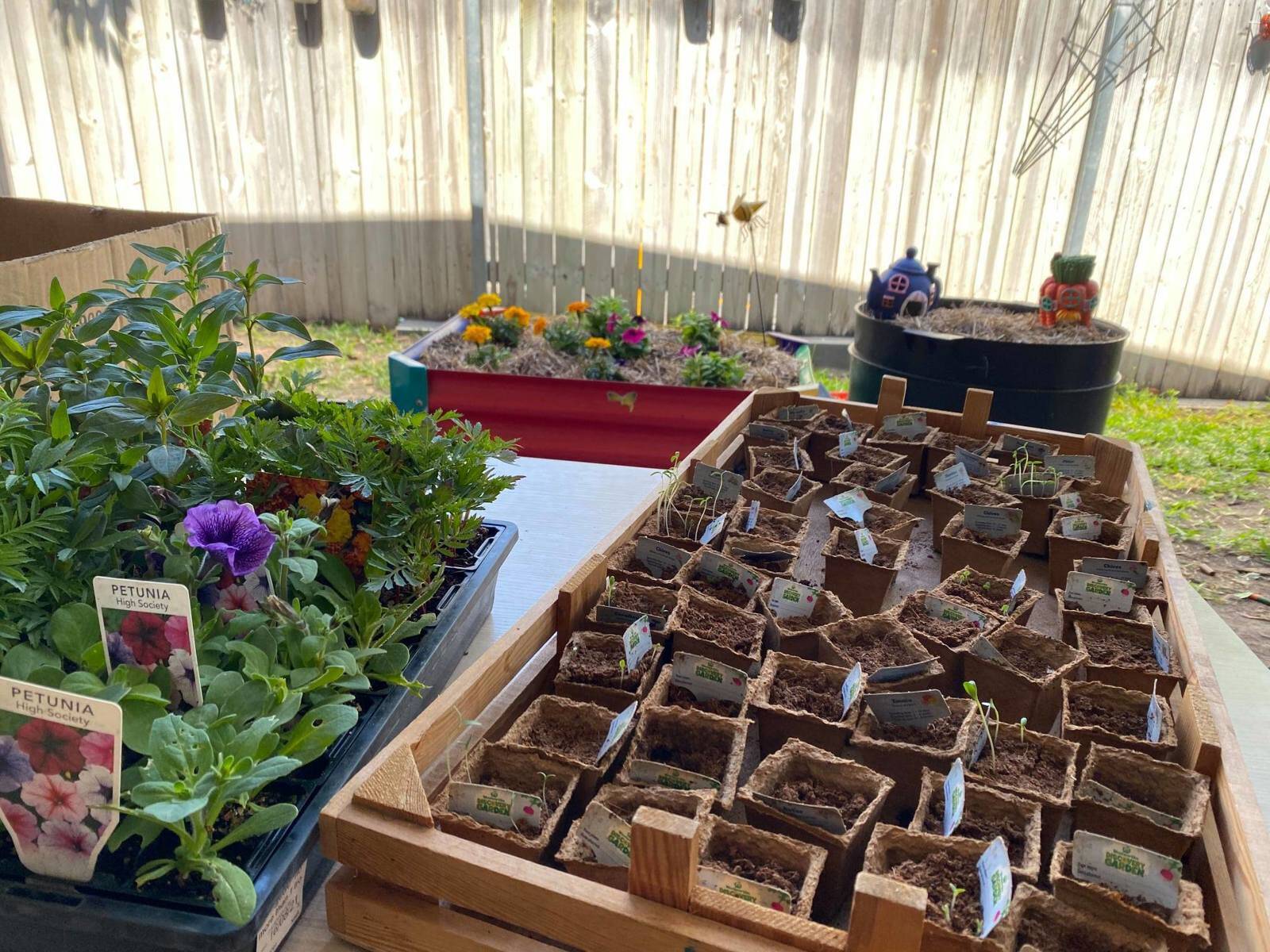 Little Ducks Childcare Bardon